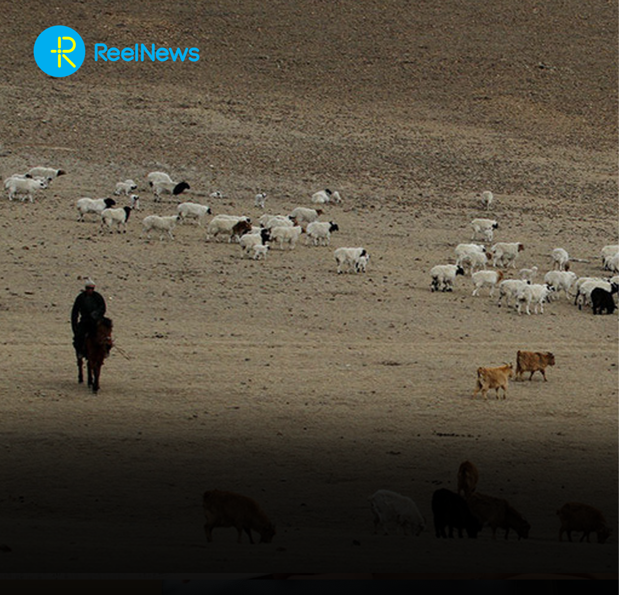 Малын даатгалаас гадна “малчингүй” болох цаг ойрхон байна